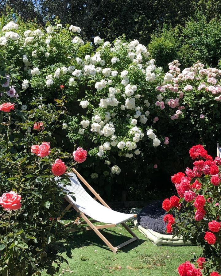 Bed and Breakfast Lulu En Provence LʼIsle-sur-la-Sorgue Zewnętrze zdjęcie